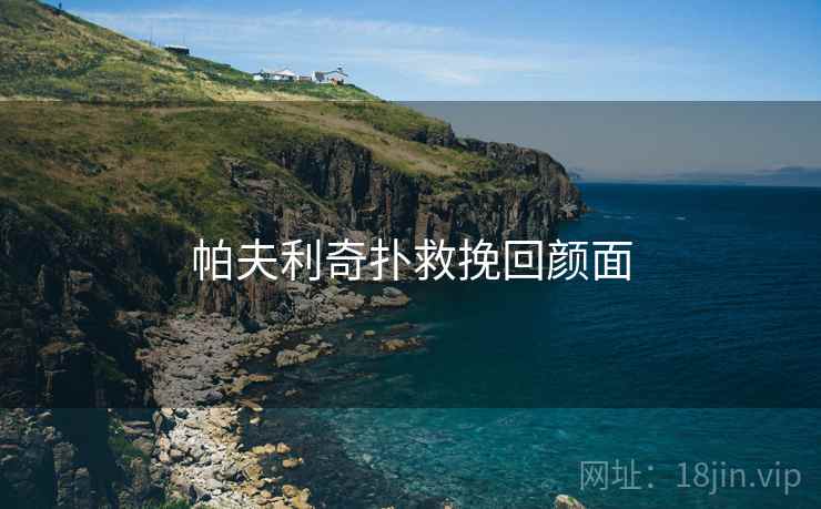 帕夫利奇扑救挽回颜面 帕夫利奇扑救挽回颜面