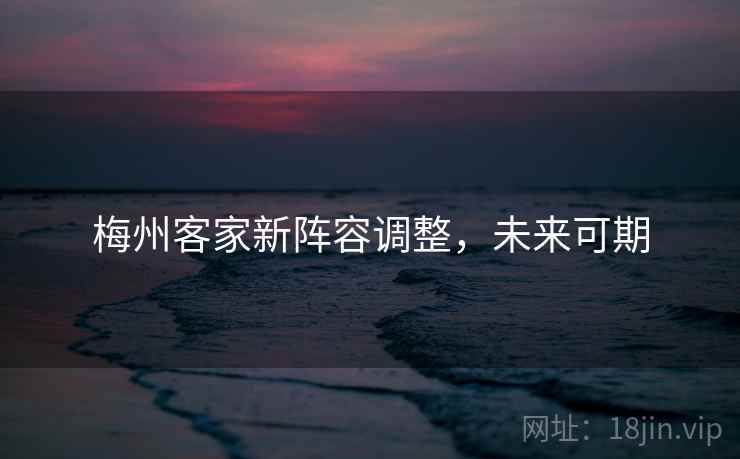 梅州客家新阵容调整,未来可期 梅州客家新阵容调整,未来可期