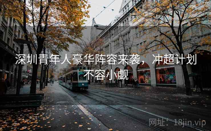 深圳青年人豪华阵容来袭,冲超计划不容小觑 深圳青年人豪华阵容来袭,冲超计划不容小觑