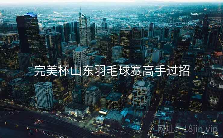 完美杯山东羽毛球赛高手过招 完美杯山东羽毛球赛高手过招