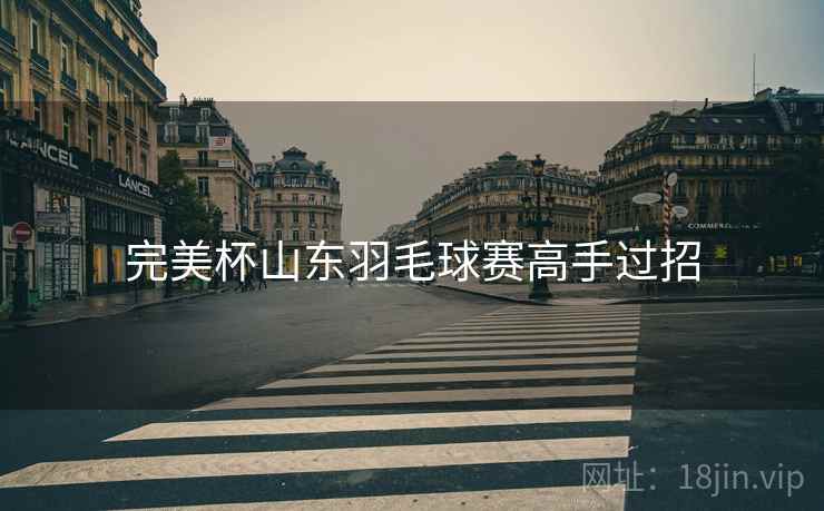 完美杯山东羽毛球赛高手过招 完美杯山东羽毛球赛高手过招